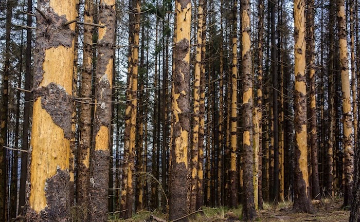„+4-Grad-Welt nach traditionellen Maßstäben nicht mehr versicherbar“