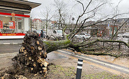 Welche Versicherungen haften für Sturmschäden?