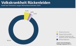 Rückenleiden verursachen 8,5 Prozent aller Fehltage 