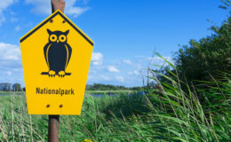 Für ein Drittel der Deutschen sind Nachhaltigkeit und Rendite gleich wichtig