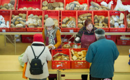 Wo die Grundsicherungs-Quoten am höchsten sind