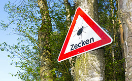 Impfen gegen die Frühsommer-Meningoenzephalitis