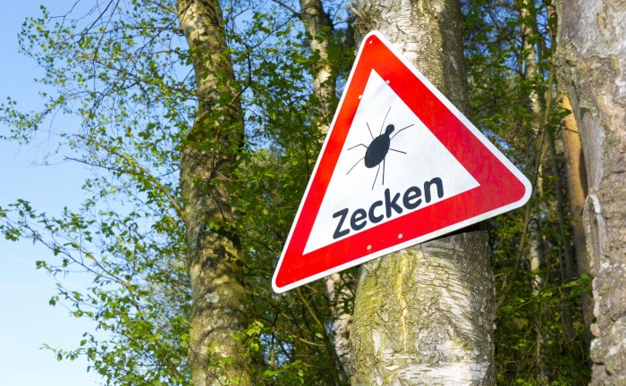 Impfen gegen die Frühsommer-Meningoenzephalitis