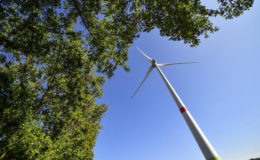 ESG-Kriterien rücken bei Versicherern zunehmend in den Fokus