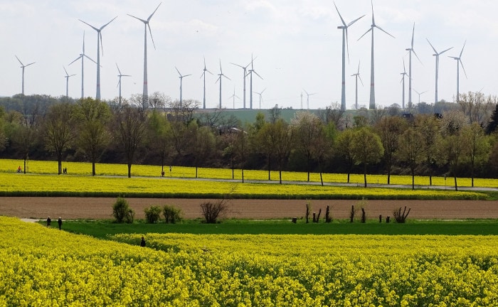 Netzwerk für Nachhaltigkeit in der Versicherungswirtschaft startet