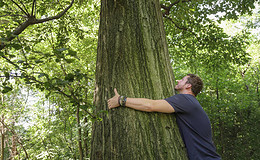 Thema Nachhaltigkeit gewinnt an Bedeutung