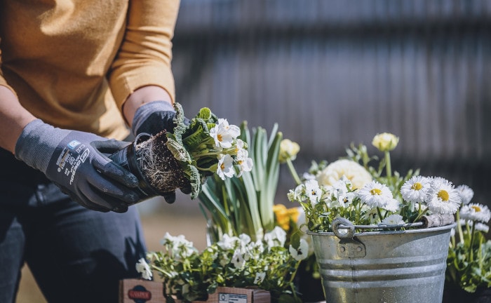Warum uns Gartenarbeit glücklich und gesund macht