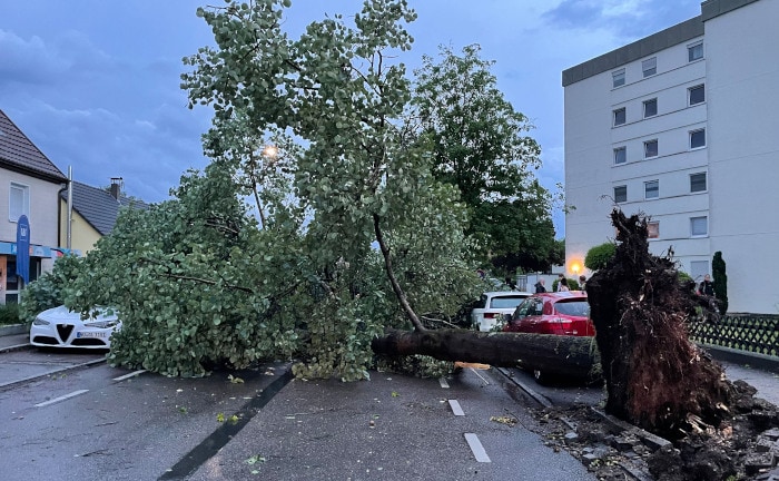 Welche Unwetterschäden durch welche Police abgesichert sind