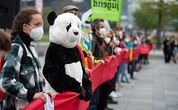 Nachhaltigkeitsaspekte verfangen eher in der Sach- als in der Lebensversicherung