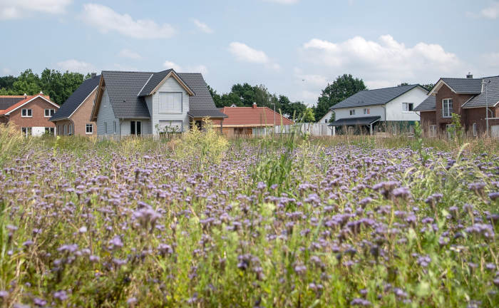 Hier sind Immobilien noch bezahlbar