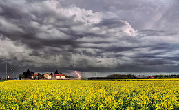 Welche Versicherung zahlt bei Unwetterschäden?
