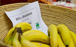 Verbraucher verlangen Versicherern bei Nachhaltigkeit weniger ab als anderen Branchen 