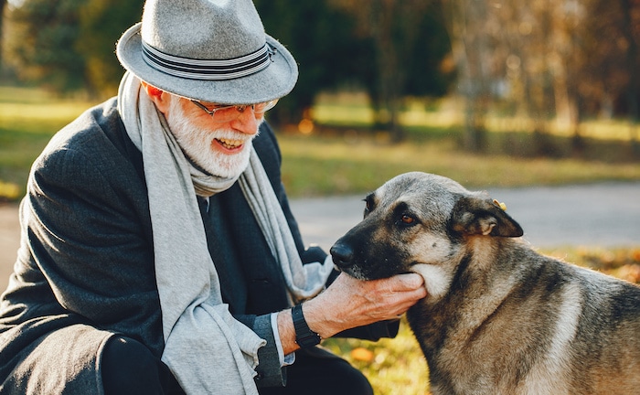 Zahlt die Krankenkasse mein Haustier?