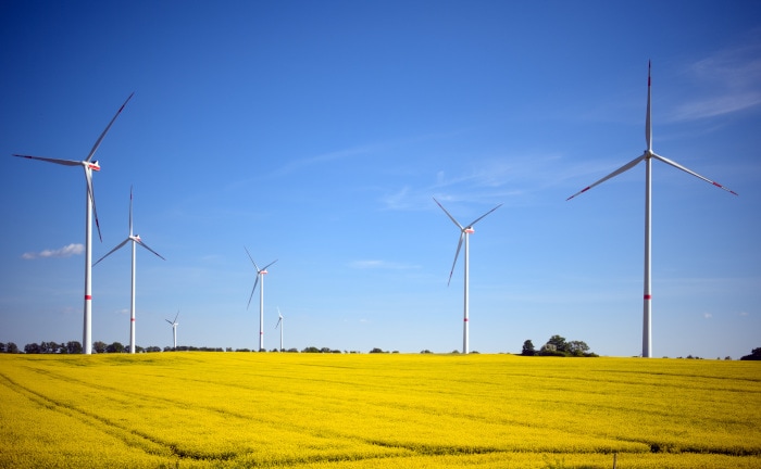 Kapitalanlage der Versicherer wird nachhaltiger