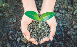 Grüne Berater punkten bei grünen Praxen