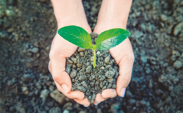 Grüne Berater punkten bei grünen Praxen