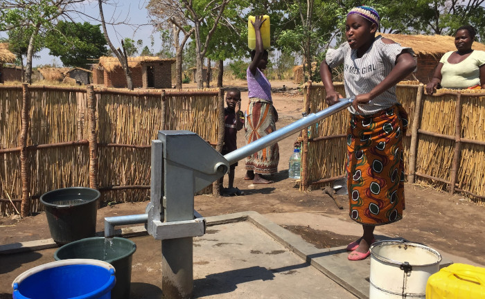 Die Bayerische arbeitete 2020 klimaneutral