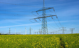 Thema Energie in der Beratung immer wichtiger