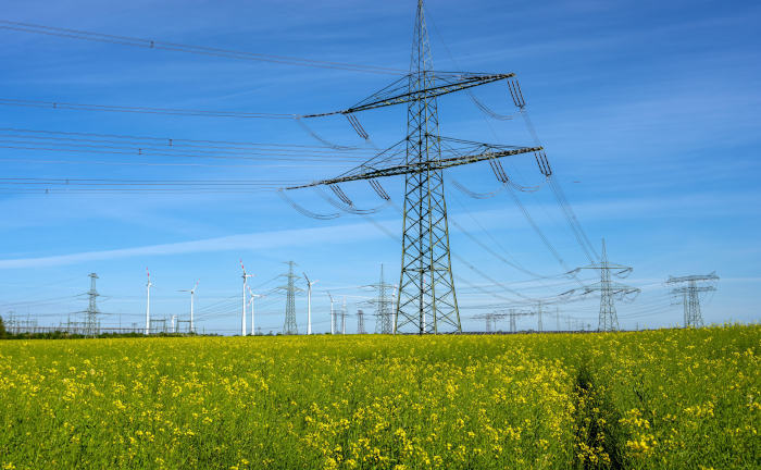 Thema Energie in der Beratung immer wichtiger