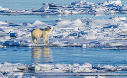 191 Milliarden Euro müssten jedes Jahr in den Klimaschutz fließen