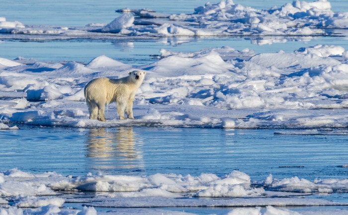 191 Milliarden Euro müssten jedes Jahr in den Klimaschutz fließen