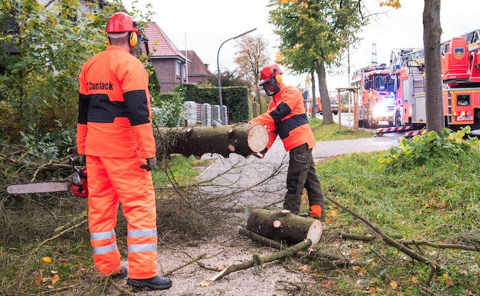 Aktuare rechnen mit 250 Millionen Euro Schaden