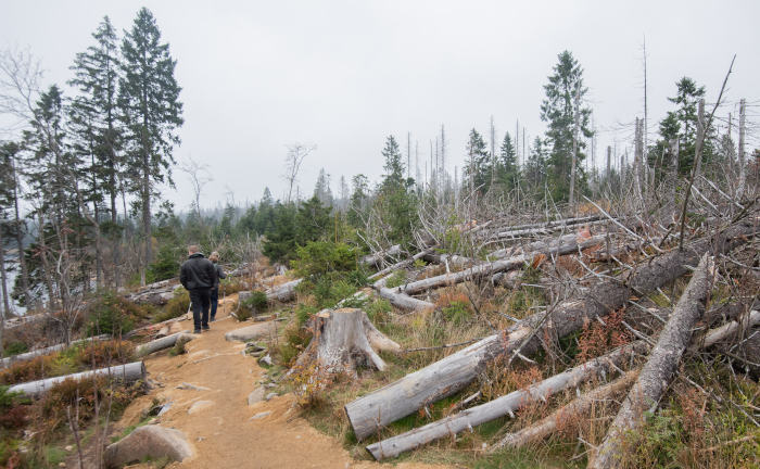 Finanzbranche unterschätzt Nachhaltigkeitsrisiken