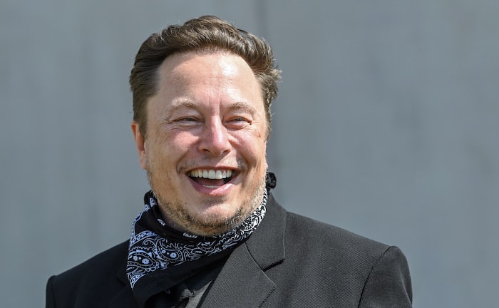 Jeder dritte Kleinunternehmer hätte gern Elon Musk als Praktikant