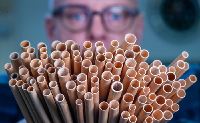 Unternehmen wollen selbstbestimmt nachhaltiger werden