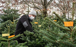 Zahlen und Fakten rund ums Weihnachtsfest