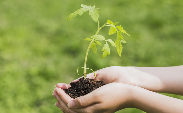 Jüngere legen mehr Wert auf nachhaltige Geldanlagen