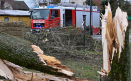 Sturmtief Ylenia verursacht rund 500 Millionen Euro Schaden