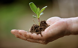 Mehrheit der Deutschen achtet auf Nachhaltigkeit bei der Geldanlage