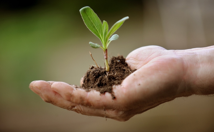 Mehrheit der Deutschen achtet auf Nachhaltigkeit bei der Geldanlage