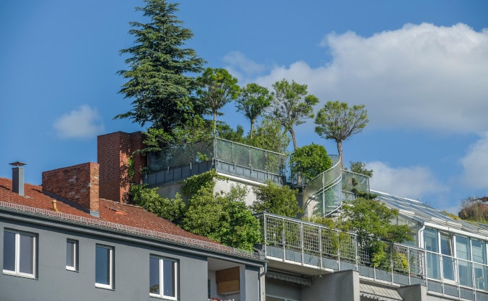 Nachhaltige Geldanlage – das ist den Deutschen wichtig