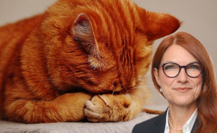 Wie man artgerecht mit dem bAV-Kater umgeht