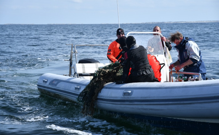 300 Kilogramm Geisternetze aus der Nordsee gefischt