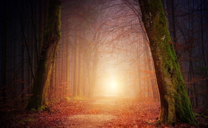 Über Licht und Schatten der gestiegenen Zinsen