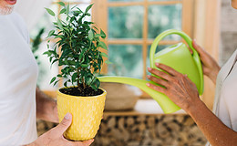 Der Trend geht Richtung Bestandspflegevergütung