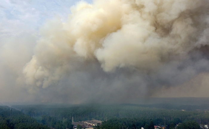 So lassen sich Waldbrände versichern