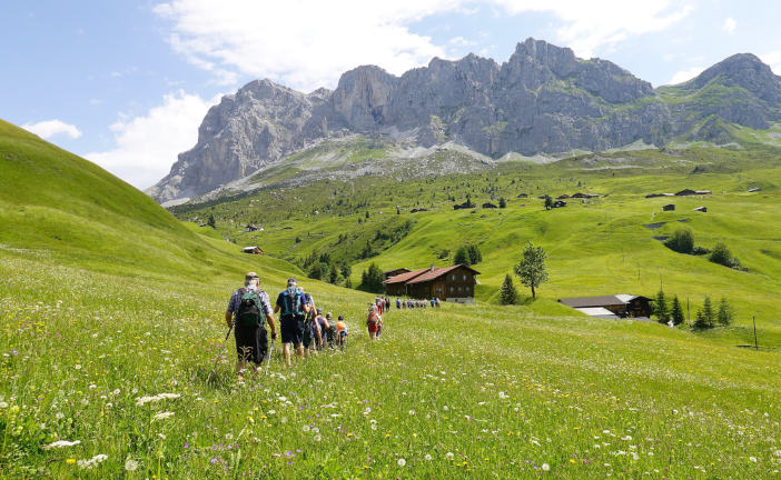 Unterwegs im Grünen – was Sie jetzt über Zecken wissen sollten