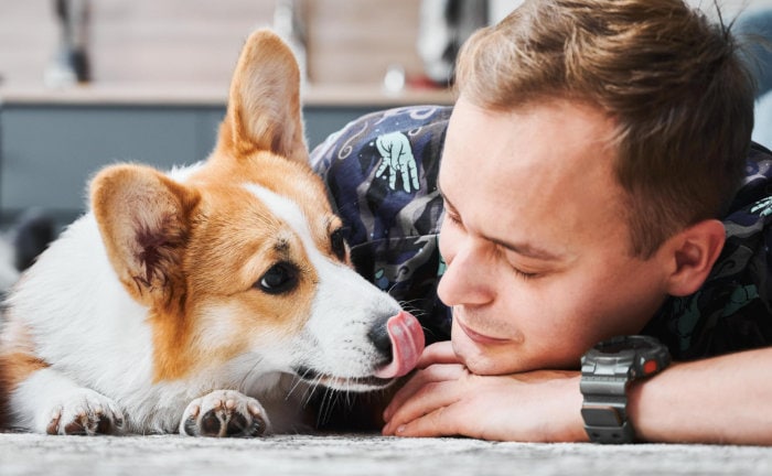 Warum eine Hundehaftpflicht ein Muss für jeden Halter ist