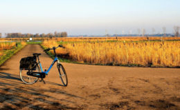 Fahrrad-Versicherer Laka kommt nach Deutschland