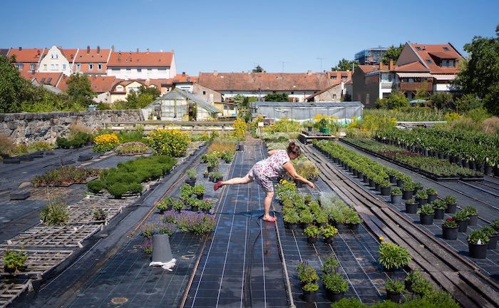 Diese Ansätze für eine „grüne“ Berufsunfähigkeitsversicherung gibt es