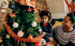 Den passenden Weihnachtsbaum fürs Fest finden 
