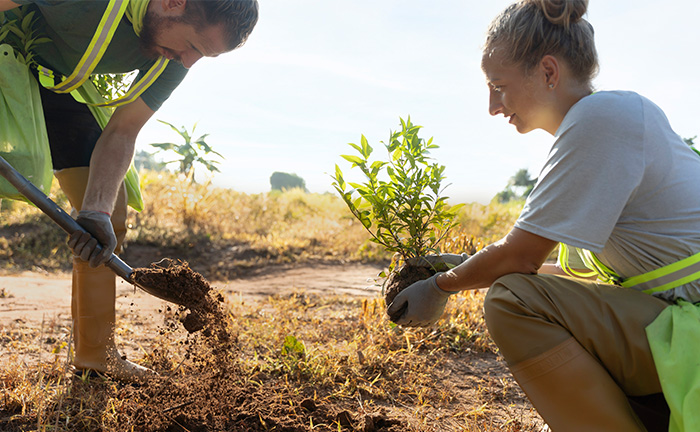 Pfefferminzia gleicht Fußabdruck vom Nachhaltigkeitstag aus