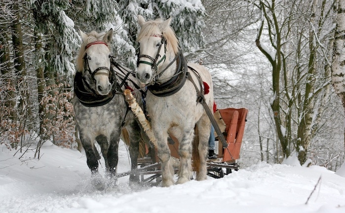 „Die Fondspolice kann das, was der Beratungsprozess braucht“