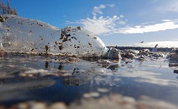Welche Länder das meiste Plastik ins Meer kippen