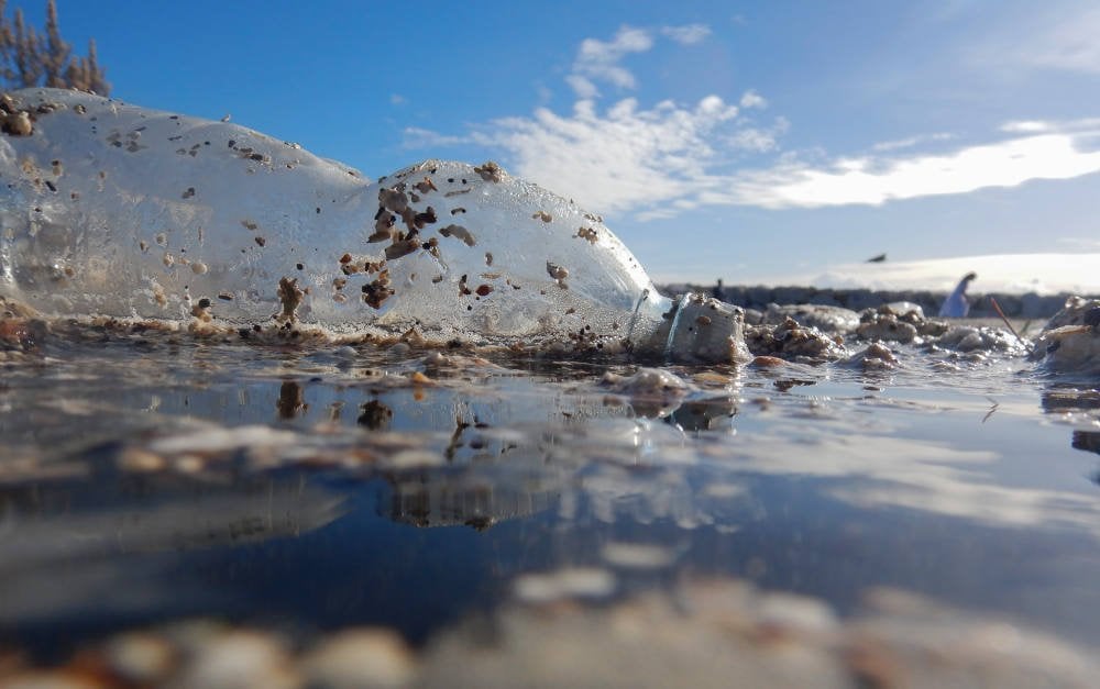 Welche Länder das meiste Plastik ins Meer kippen
