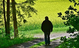 Aktuare werben für lebenslange Rente in der Altersvorsorge